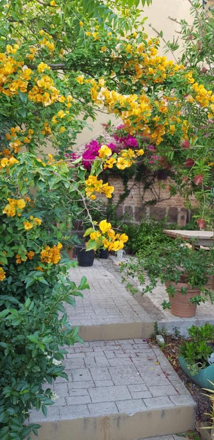 Piero'S Apartment كاربونيا المظهر الخارجي الصورة