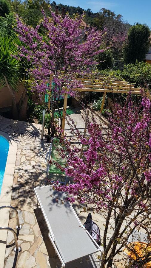 Piero'S Apartment كاربونيا المظهر الخارجي الصورة